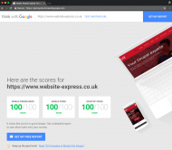 Website Express Drupal Developers Google Speed Screenshot